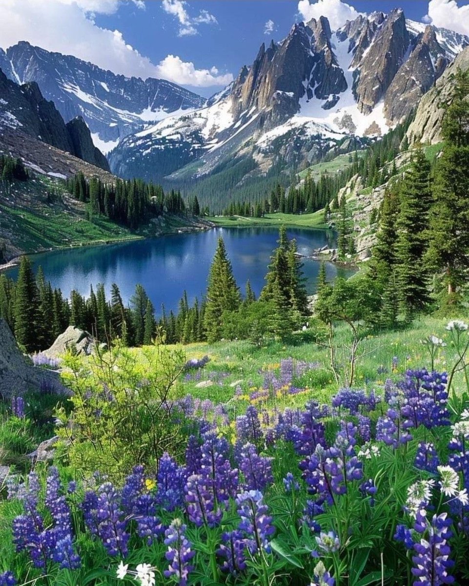 naturalbeautyi7's tweet photo. Rocky Mountains National Park 🇺🇸 https://t.co/eqjZqj59NY