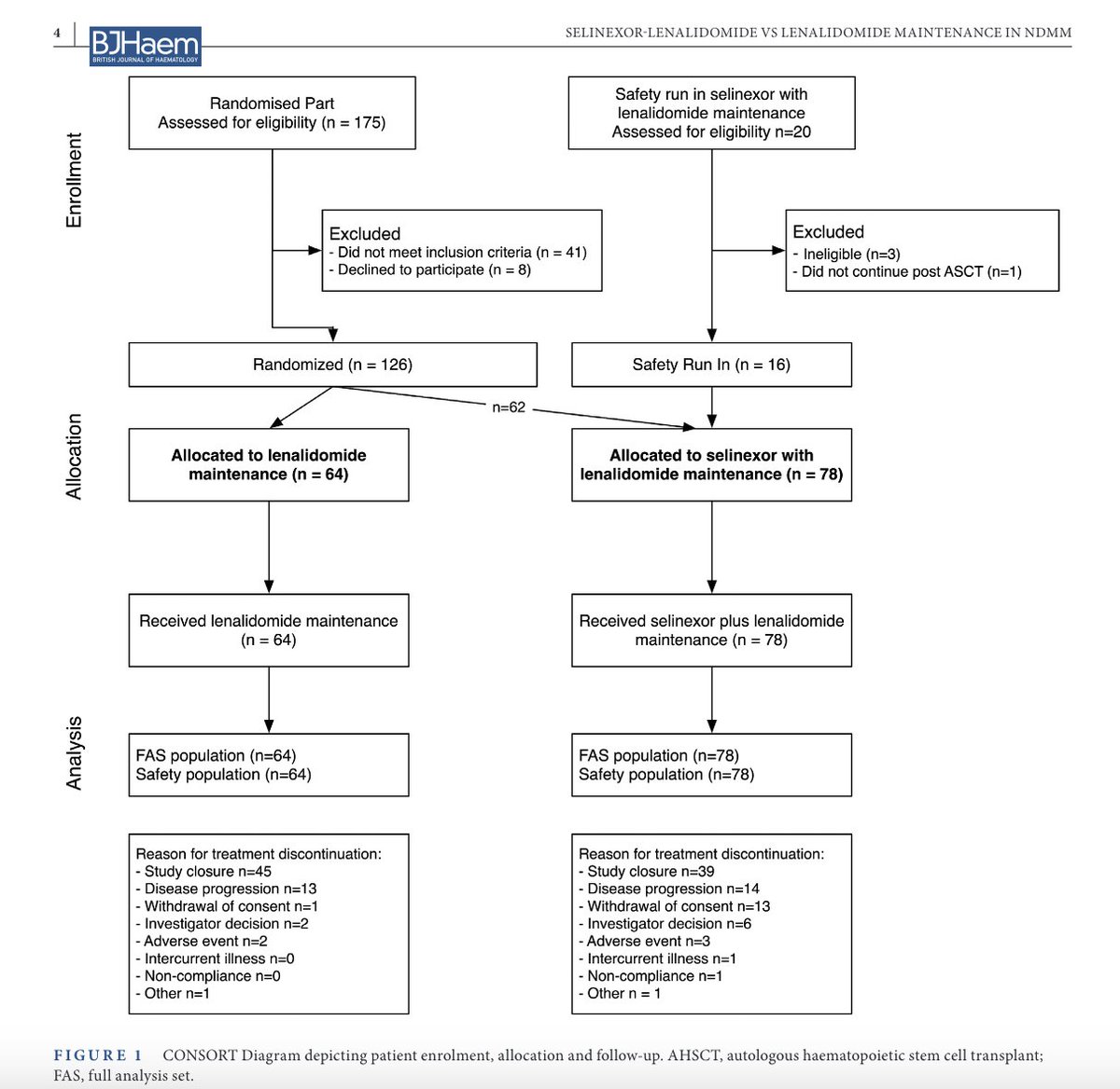 Samer Al Hadidi, MD,MS,FACP (@HadidiSamer) — #IMS26 — CONSORT diagram, SeaLAND trial (Selinexor-Lenalidomide vs Lenalidomide maintenance in NDMM), BJHaem