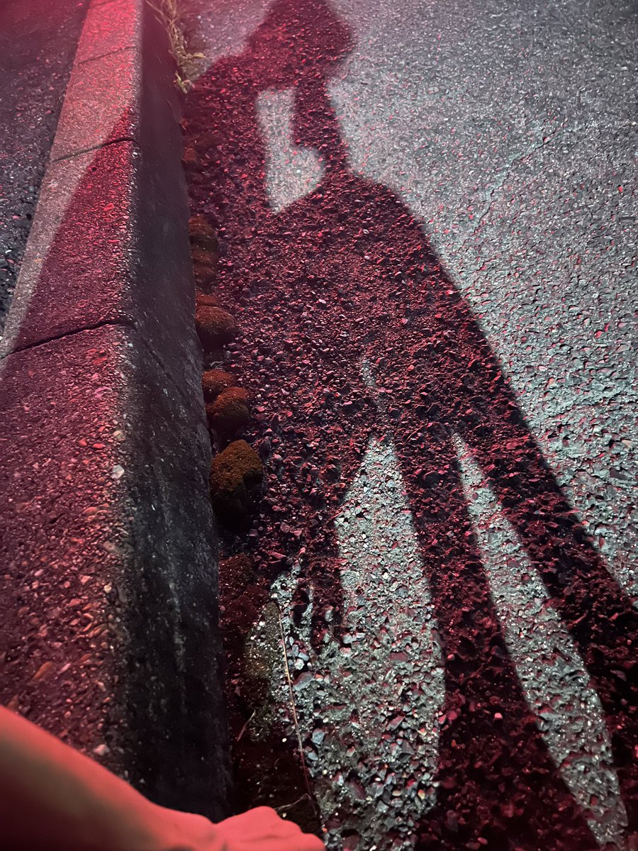krkrkuro4's tweet photo. いい気分で線路沿い歩いて〜♩ https://t.co/1dj9Xb9Py6