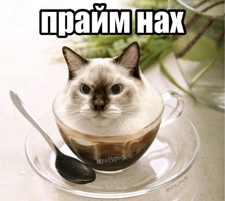 AnankeAp's tweet photo. @lan1tany https://t.co/9IOOVRCxDs