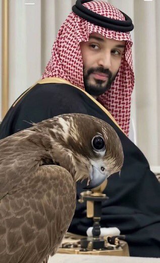 meme199420's tweet photo. @salam عزّنا بطبعنا في وطنٍ عظيم، نفخر بماضيه، ونعتز بحاضره، ونثق بمستقبله.
هنا السعودية.. وهنا المجد الذي لا يشبهه مجد 💚
🇸🇦🇸🇦🇸🇦🇸🇦🇸🇦🇸🇦🇸🇦🇸🇦

#عزنا_بطبعنا 
@salam https://t.co/VvjVl38R25