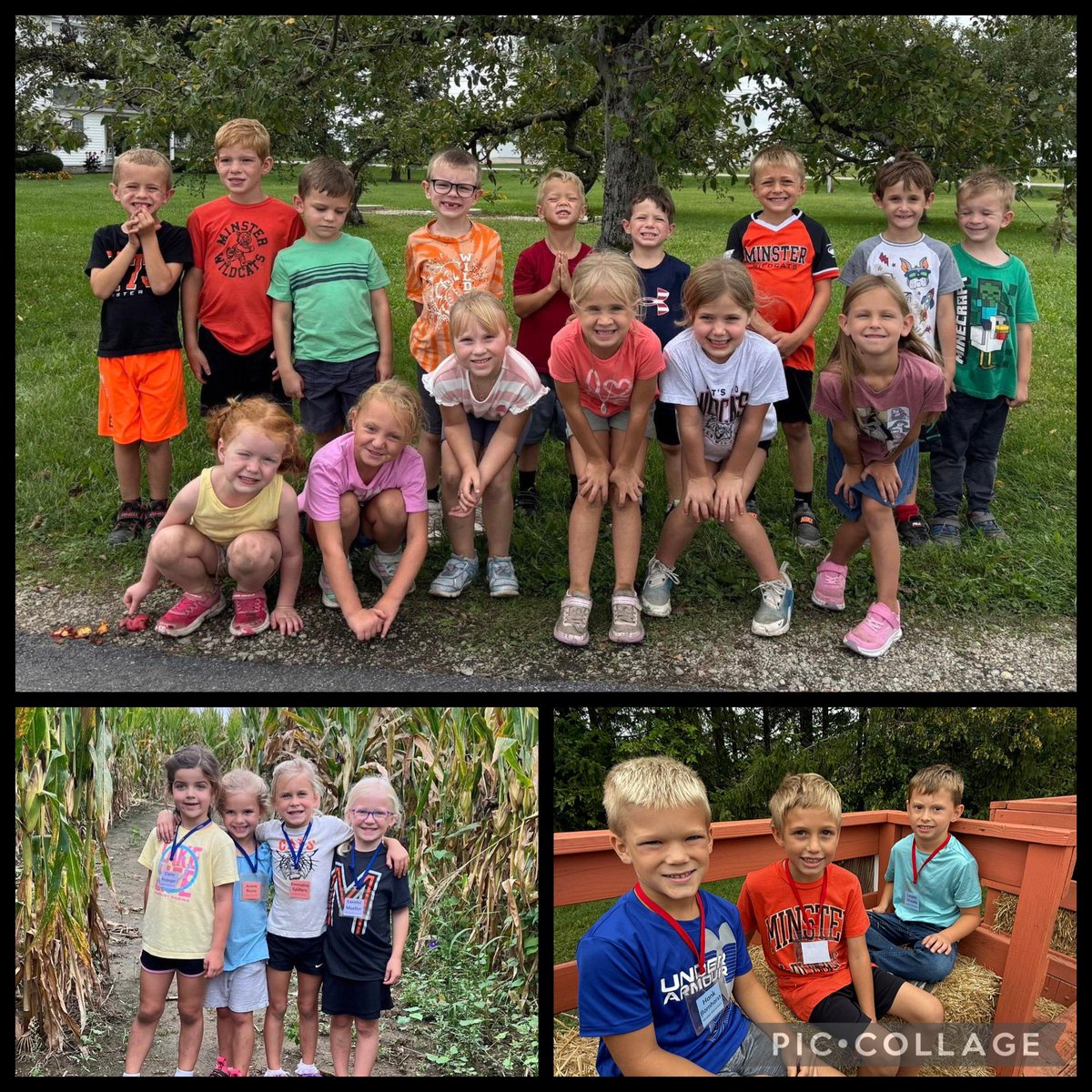 MinsterSchools's tweet photo. Our Wildcats are enjoying some great fall adventures! 🍂
Our 6th graders spent two days at Camp Willson, building teamwork, challenging themselves, and making memories together. Meanwhile, our kindergartnersenjoyed a fun-filled day at Brumbaugh Fruit Farm &amp; Pumpkin Patch! 🎃🍎 https://t.co/WQtTvX7opy