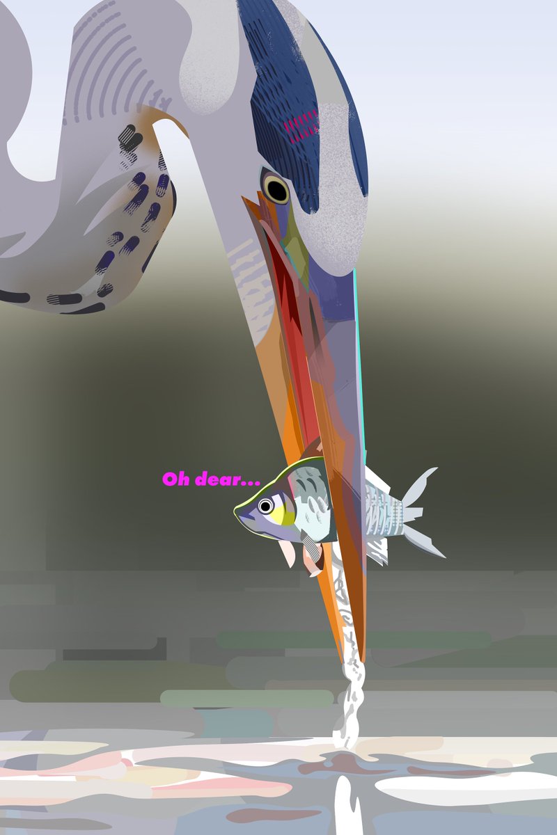 Kbyrandart's tweet photo. I like birds https://t.co/frnXh9BjUU