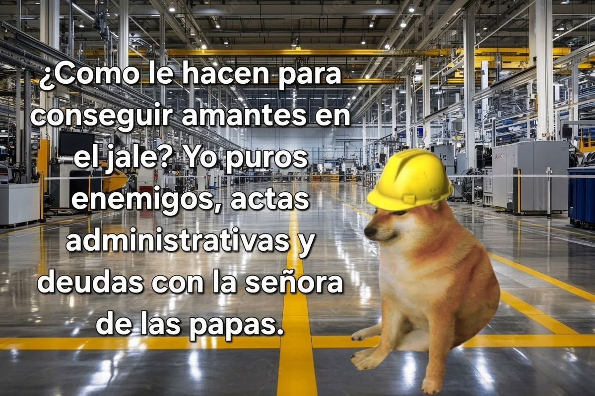 cheems_rojo's tweet photo. Es verdad https://t.co/GuOQ1o8QFH