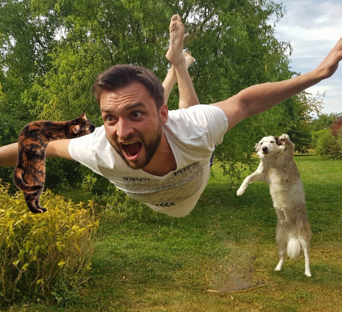 rightanglecat's tweet photo. Weeeeeeeee 

$rcat https://t.co/fSGBROlve0