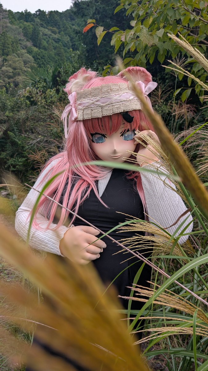 0810Rama's tweet photo. 秋ですねぇ
📸@scute_llaria https://t.co/aZNiEW0Noi