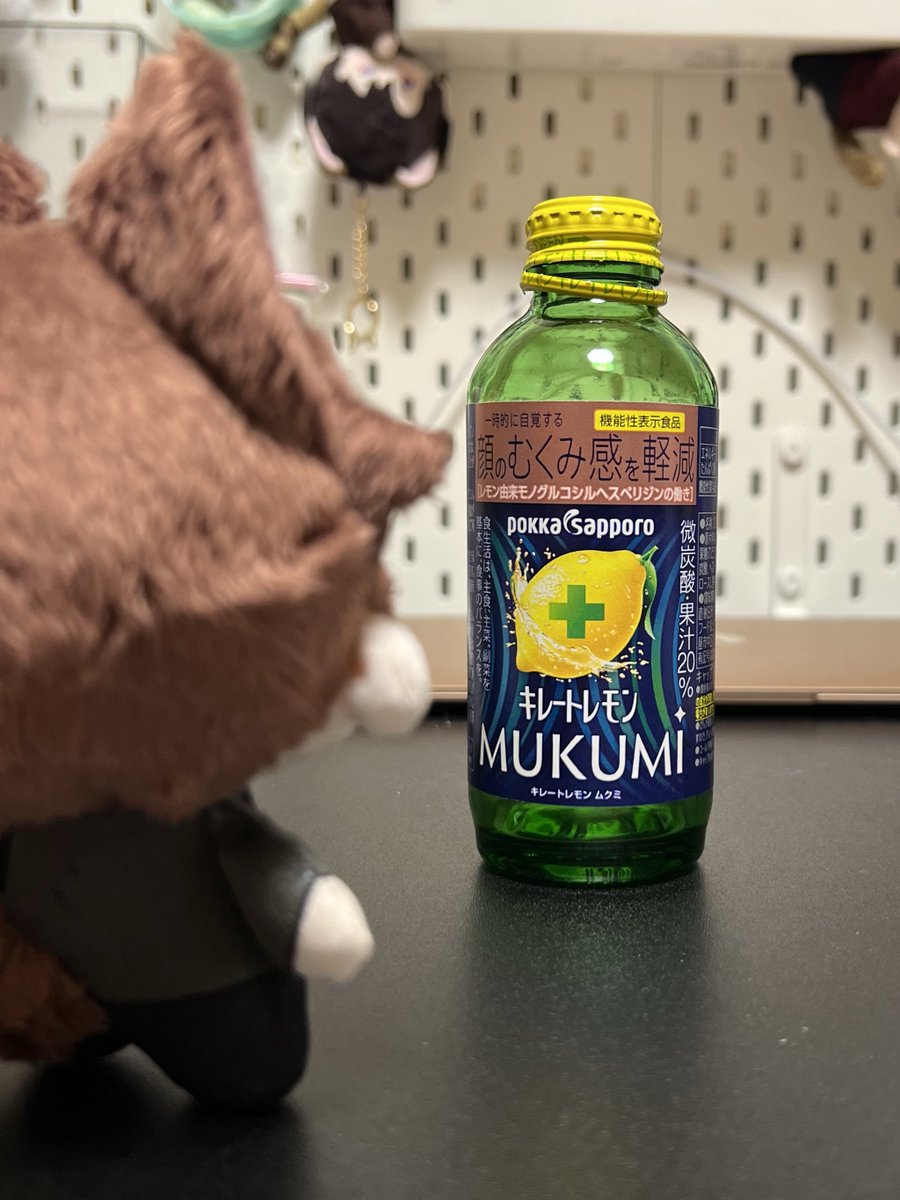 RinSan_Wolf79's tweet photo. 2026/09/25

オレの予想通り主は朝ひぃひぃしていた
置いていかれそうな匂いがしたからカバンの中に先に入ってやったぞ(*˘꒳˘*)

昼はおにぎりを食いながら叫んでいたな？
大丈夫だオレはちゃんとここに居るぞ

夜はレモン汁を飲んでいたな
それは...うまいのか？
チョコはないのか？

#ちびロウガ日記 https://t.co/sX6HLoNlBP
