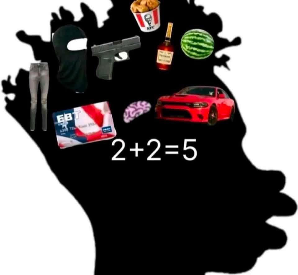 LiftedCrusader's tweet photo. Oh yall read interesting cuz I read some where that most niggers don’t know how to read hmm🤔 and that we had to drop the average IQ lower because of yall and I said look at Africa so you can see how yall would still be living if it wasn’t for us and that would be in a mud hut in your own shit and piss hope that helped Shaniqua I know it’s a lot might be to much for your lil brain to process