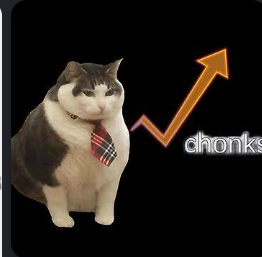 Bobonsol9's tweet photo. CHONKS has always been the cat version of STONKS.

STONK has a ton of cat coins paired with different stocks, but there still isn’t one main cat meme paired with STONK itself.

CHONKS is already a meme. Search it and you’ll find cat versions of STONKS that people have been making for years.

https://t.co/1BAO8YstD7

https://t.co/o13p0DIMpg

I think CHONKS paired with STONK could be the one.
