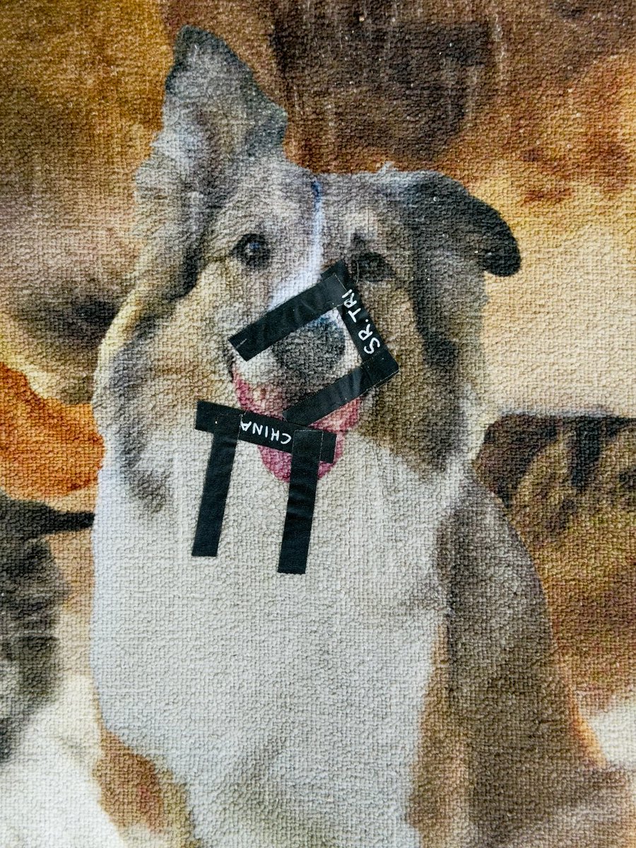 kseofficial's tweet photo. 👁️➡️ Ever wonder what the drum rug on Justin’s riser has pictured on it? 🤷🏻‍♂️ It’s a custom photo collage of his 4-legged babies from home, always there to help see him through the show. ♥️ Everywhere we go, local crew smile when they see all of their beautiful faces. When we’re on tour, everyone misses their animals and this is Justin’s way of bringing them with him everywhere we go. 🐱🐶🐾 Speaking of going places, THANK YOU to Denver for a fantastic show last night and tonight we’re in Salt Lake City!!! Let’s keep this train a’rollin’!!!🤘🏻🔥 / 📹+📸: @manalivecreative