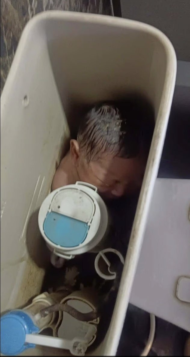 LiveAction's tweet photo. Horrific.

A newborn baby girl in Thailand was discovered in a toilet tank.

A cleaner found her crying.

Her hands were wrinkled from being in the water for hours.

It is a miracle she survived.

We must continue to uphold the dignity of babies

No child deserves to be treated like this.