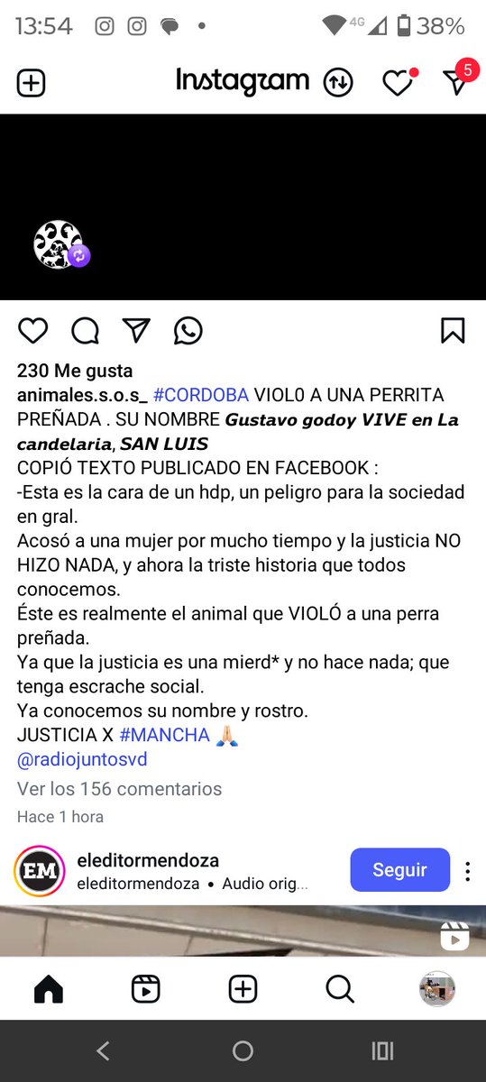 ALEXIANA777's tweet photo. #Cordoba violo a una perrita preñada 😡😡😡😡debe existir este tipo de lacra??????? https://t.co/cNGjc31uHy
