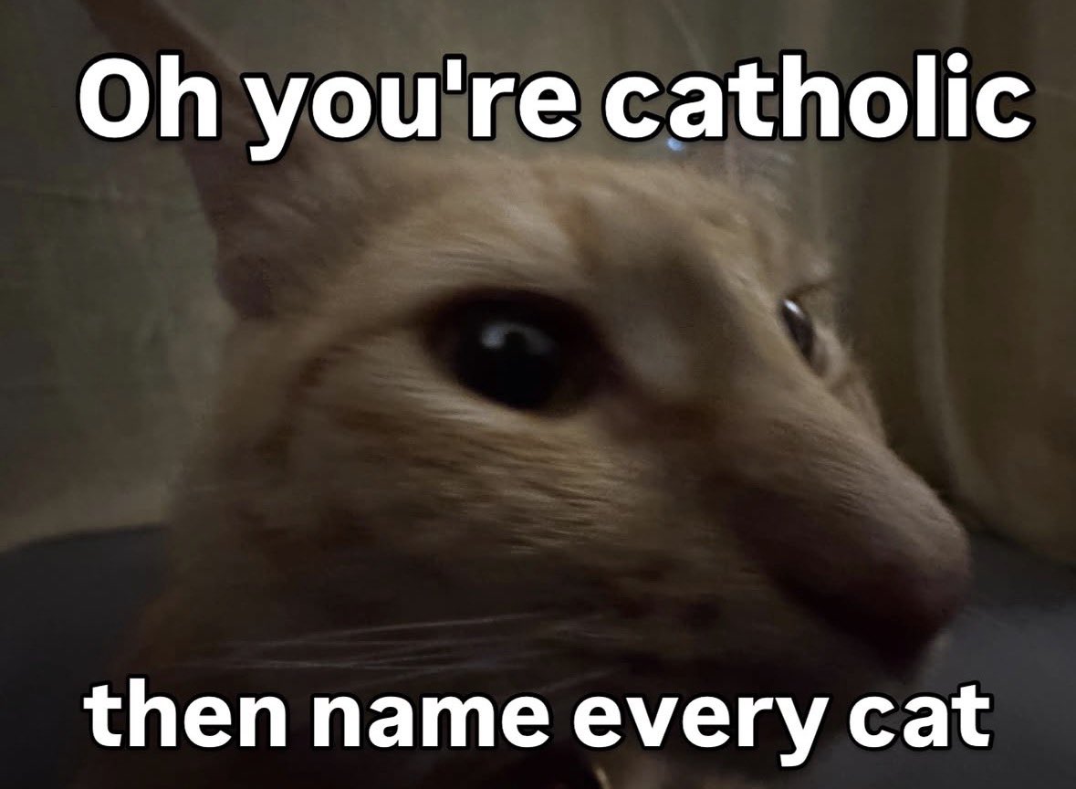 literallymecats's tweet photo. https://t.co/yQ1pIATcyj