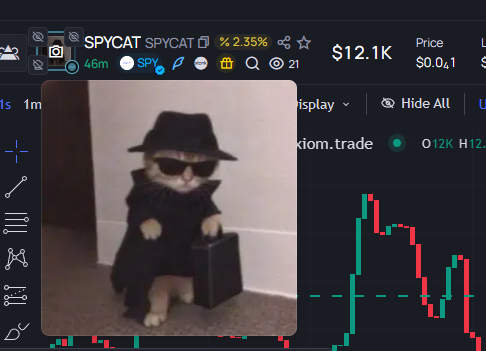 NazayoshiQuant's tweet photo. @catalyst100x or you can just buy the cat created 1hr ago that started all of the fucking coins idiot https://t.co/nCF9mDKscx