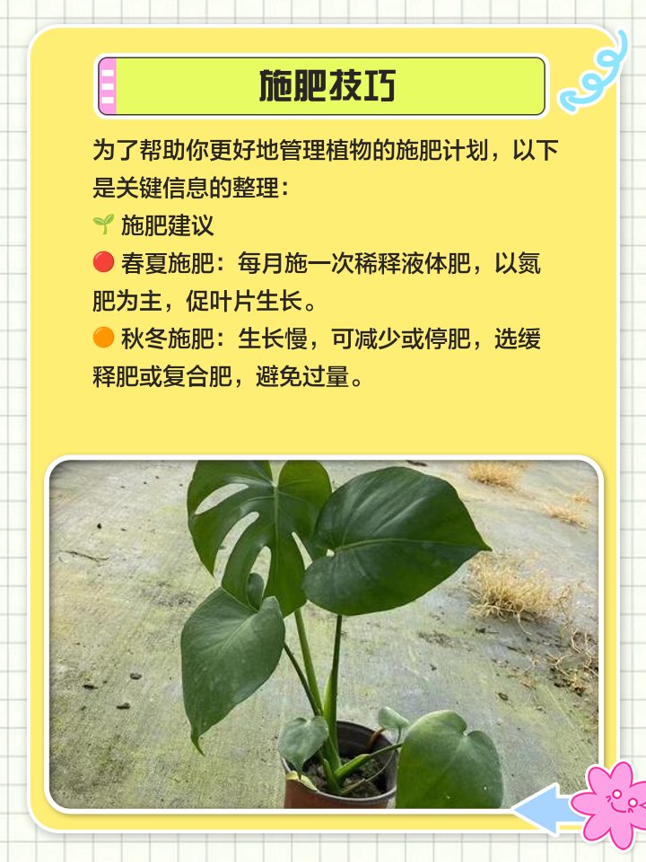 Roby63366206's tweet photo. Keep your pothos thriving by rotating it 1/4 turn weekly! It’ll grow straight and lush—no lopsided leaves here. https://t.co/U1c96b1bOu