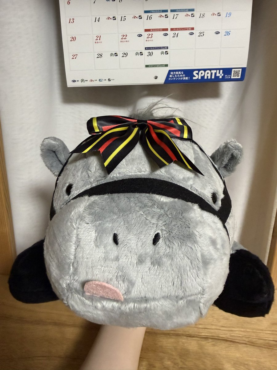 kyomunoppp's tweet photo. 1つだけ選んだリボンはサンデーレーシング！シェケ！ https://t.co/WZYDh71STX