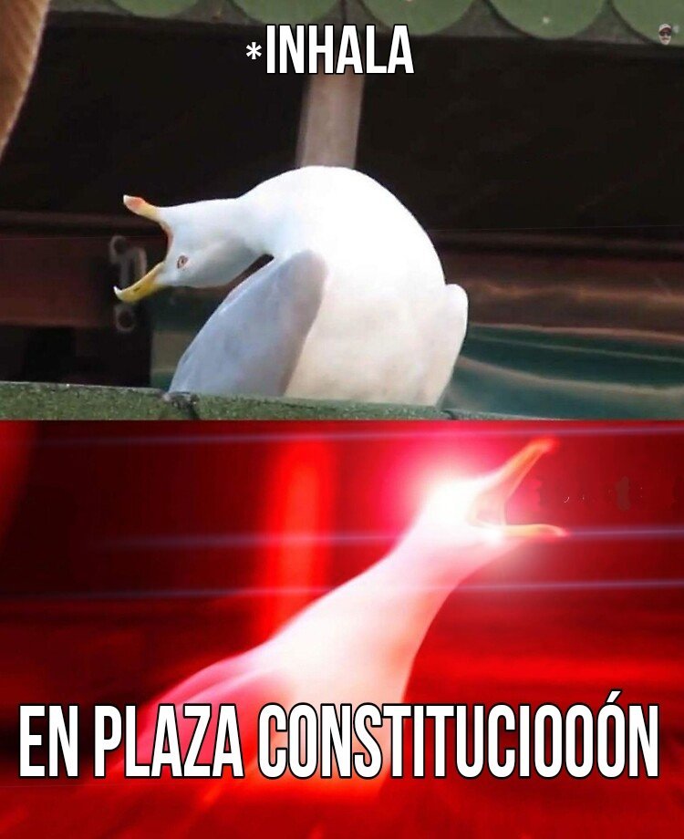 elmanupove's tweet photo. Ya en modo... https://t.co/PgPLr9F0Wp