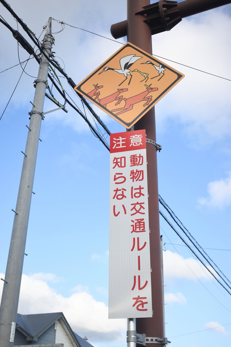 unusuarrows's tweet photo. 「動物が急に飛び出してくるかもしれないから特に気を付けてね」

の標識として
簡潔かつインパクトがありすごく秀逸な一文だと思った。 https://t.co/VDfB4NZEdB