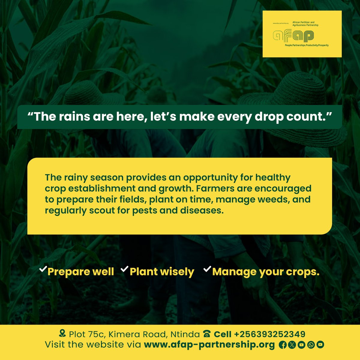 AFAPUganda's tweet photo. 🌧️The seeds of a successful harvest are planted long before crops emerge.
As the rains set in across Uganda, farmers have an opportunity to give their crops the best start through timely planting,effective weed control,and regular pest and disease monitoring.
#AFAPUganda #Farmers https://t.co/4stMM1R1W6