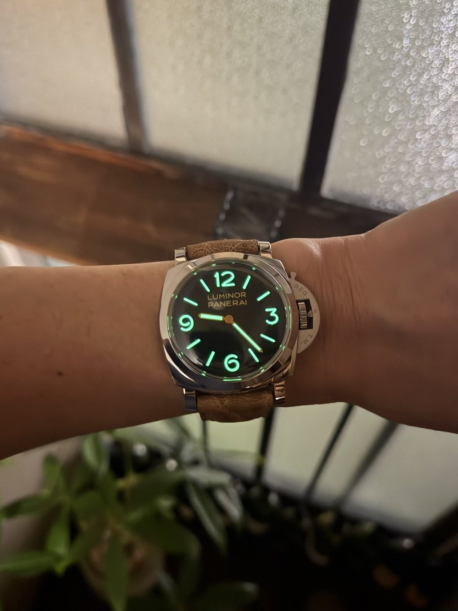 VbkVhq2ifuU4LEt's tweet photo. 久しぶりのパネライにちょっくら浮かれて光らせてみた

#PANERAI #PAM372 #PAM00372 https://t.co/dBY5z1CAks
