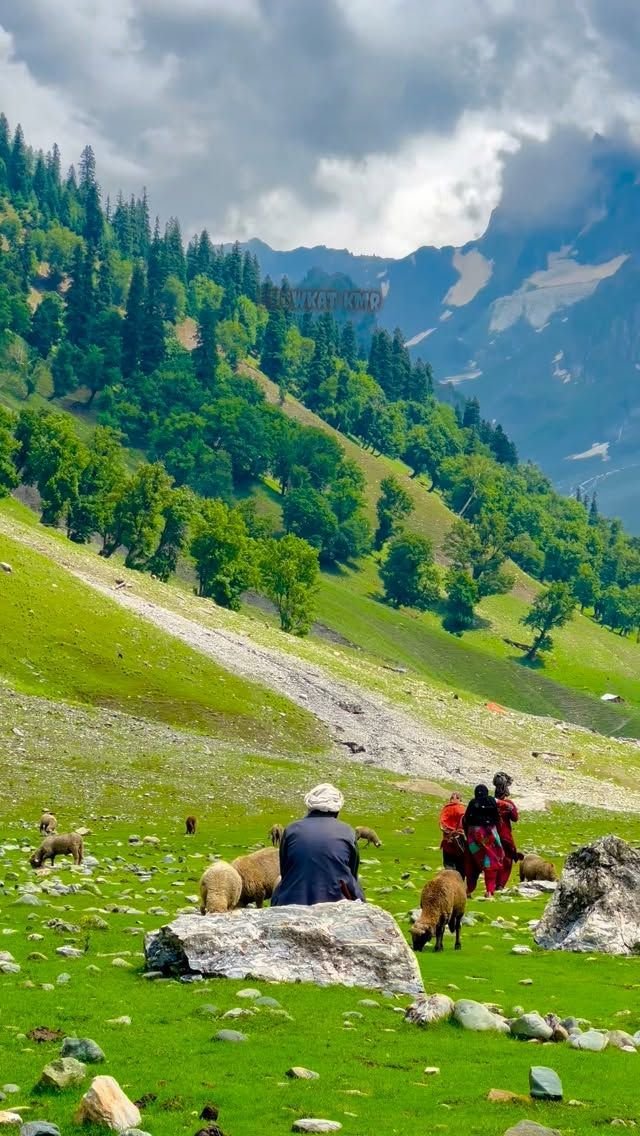 1_2BA's tweet photo. Good evening to all my twitter family 💚❤️💙🌷🌷🍁🍁🍁🌴🌴🌴🌴☕☕☕☕☕ 

@1_2BA https://t.co/IWaAX1EgHF