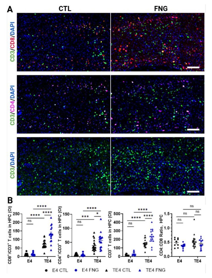 LukensJohnR's tweet photo. The sphingosine-1-phosphate receptor functional antagonist fingolimod exacerbates neuroinflammation and tau pathology in a mouse model of tauopathy https://t.co/rId0uNffEF https://t.co/o98xhxM4gy