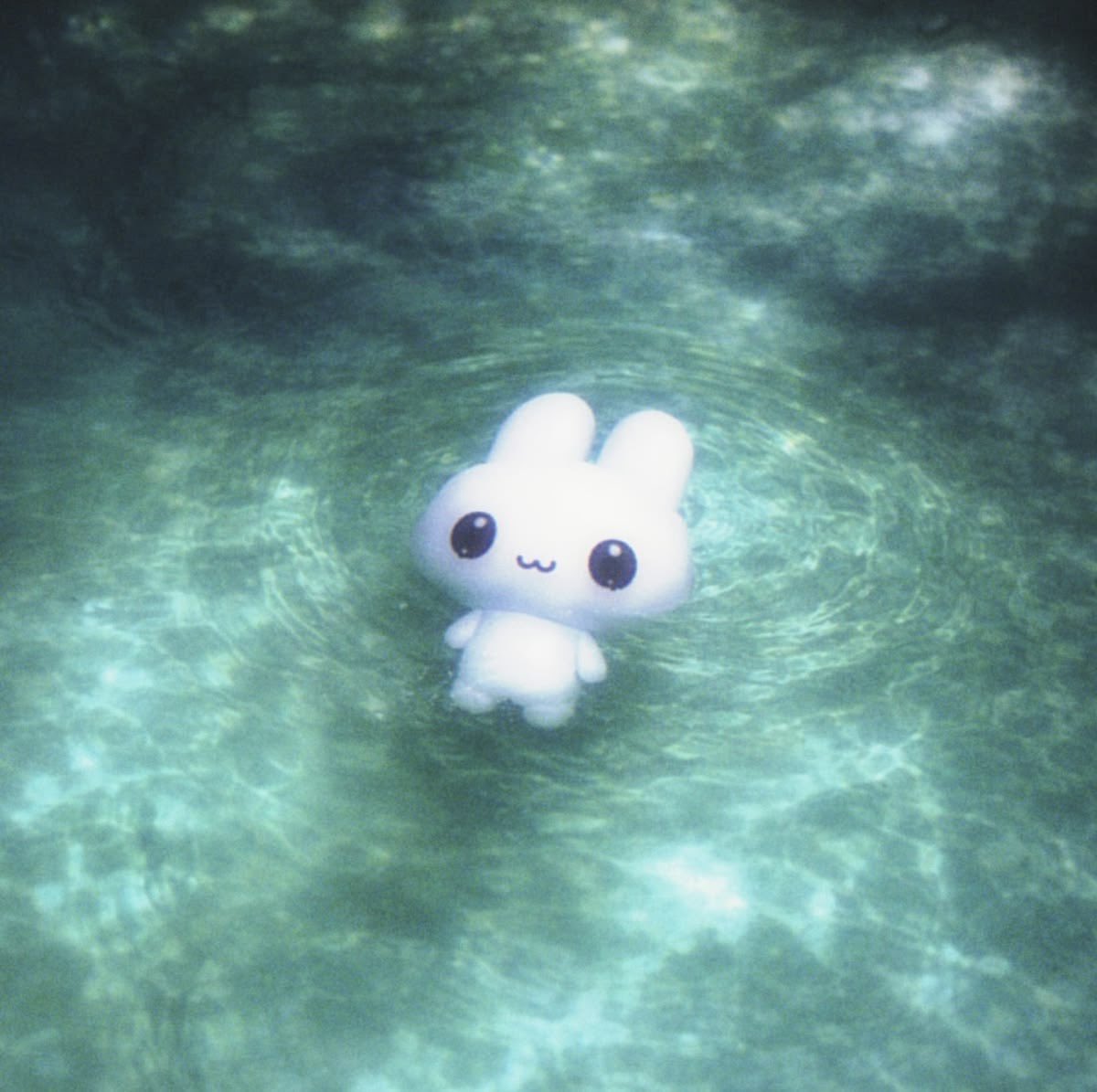 ddogi12345's tweet photo. #트친소 #트친소_𝕏친소 #우울계𝕏친소 #우울계𝕏친소 #정병계_𝕏친소 #일상계 #우울계 #정병계 #선팔맞팔 
트찐이랑 트친해주실분 찾아요╰(*´︶`*)╯♡
초멘초뎀초반 다조아해요🫶 친해져요（≧∇≦） https://t.co/8mqf0J9wt7
