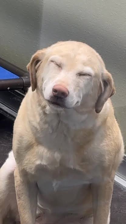 sonmezverse's tweet photo. Alex is so cute 😂😂😂😂 https://t.co/cAkKuBULuo