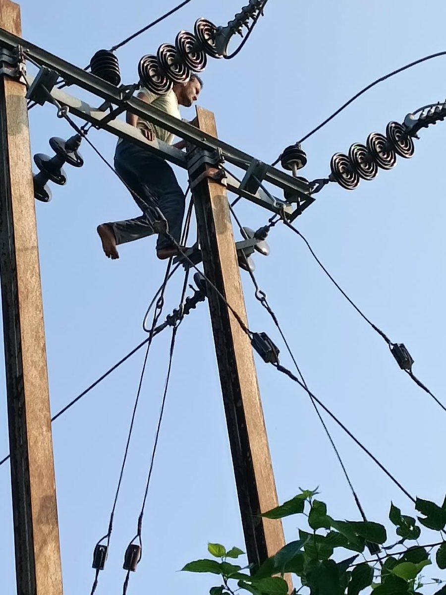 esdpurnea_west's tweet photo. Line Restoration at banmankhi under ESD Purnea West.@BiharEnergy
@seva_sbpdcl
@seva_nbpdcl
@seva_bsptcl
@SEVA_SBPDCL https://t.co/hq1w6Du9vT