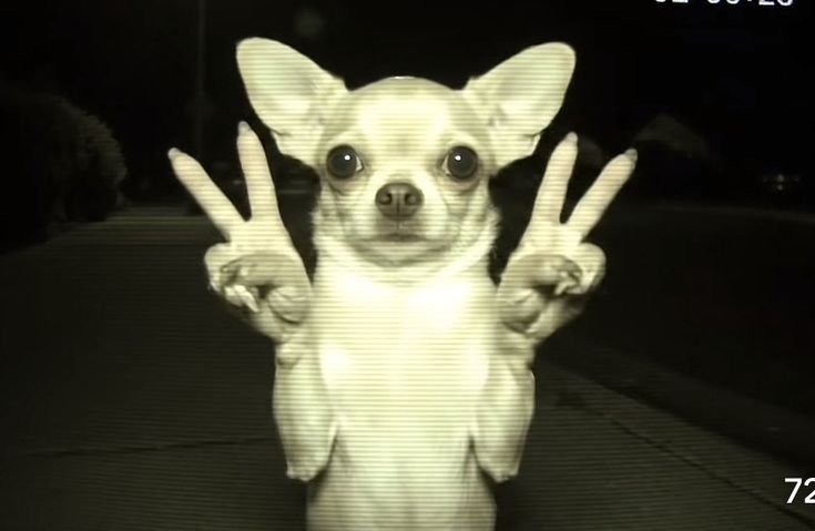 2soo_0's tweet photo. #정병계_𝕏친소 #정병계𝕏친소 #정병계 #우울계_트친소 #우울계 #일상계_트친소 #일상계 #겜친소 #제발와라

그냥 조용히하고 빨리 오세요 성인남자 받습니다 지뢰 다 걸러가요 지뢰 선팔안받을거임 소통줮나게 할게요 https://t.co/rDP9HAyGgu