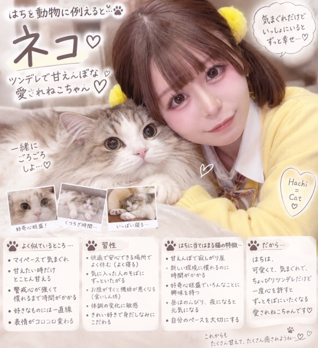 dolsee_hacci's tweet photo. 流行りのやつやってみた😸✨😸
うちの猫ちゃんにそっくり💛💛 https://t.co/rrMjGd8dKe
