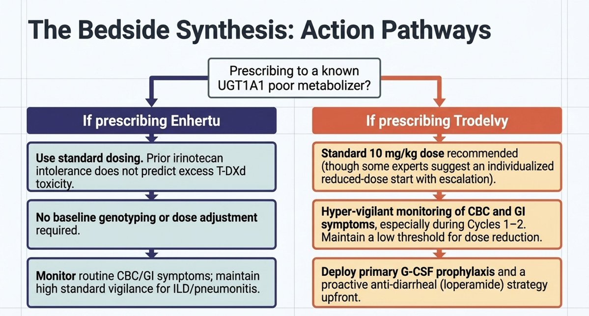 DrAllanPereira's tweet photo. To Whom It May Concern

All are related to topoisomerase I inhibition:
- Irinotecan 
- Govitecan
- Deruxtecan

HOWEVER:
- Irinotecan = conventional chemotherapy. Its active metabolite is SN-38 
- Govitecan = ADC linker/payload delivering SN-38 
- Deruxtecan = ADC linker/payload delivering an exatecan-derived topoisomerase I inhibitor

Therefore, irinotecan and govitecan are mechanistically related because both involve SN-38. 
BUT WHY DOES THIS MATTER?

Because this is the reason why UGT1A1 poor metabolizers can struggle with Irinotecan and  Govitecan. (SN-38 → UGT1A1).

DXd is NOT a substrate of UGT and is instead primarily metabolized by CYP3A4.