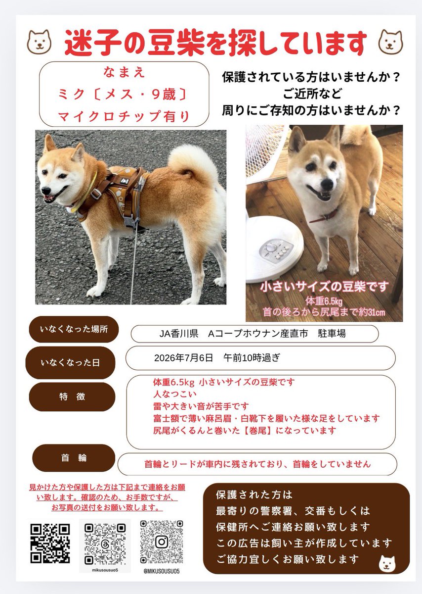 wu4gqfmiku's tweet photo. 【#迷子犬 #拡散希望】
香川県観音寺市で失踪した豆柴の「ミク」を探しています。
どなたか見かけた、保護された方はいませんか？

どんな些細な情報でも良いのでご連絡宜しくお願い致します。
首輪、リード無し
特徴：はっきりした富士額、白靴下、マイクロチップ有
#観音寺市 #柴犬 #豆柴 #大野原町 https://t.co/qUxZgIjczB