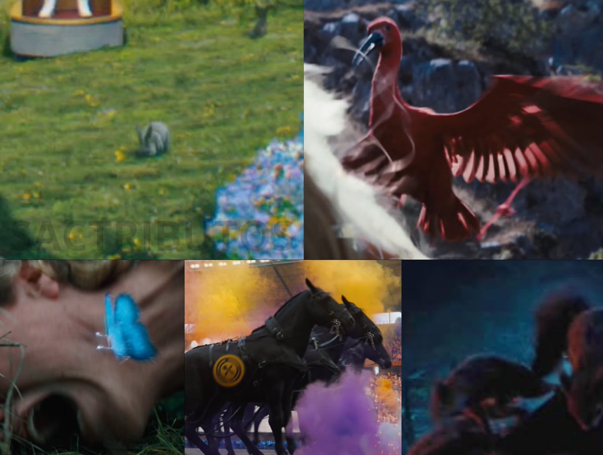 SacTributos's tweet photo. mostrando ser um filme pet friendly confira todos os animais mostrados no novo trailer de jogos vorazes https://t.co/sLfICz4pMz