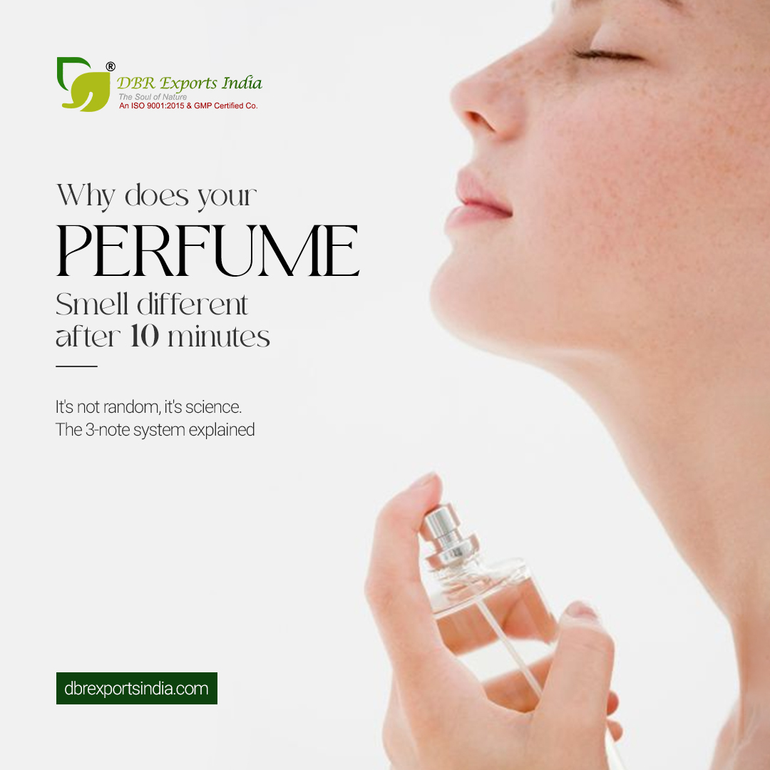 dbrexports's tweet photo. TOP. MIDDLE. BASE.
The secret behind a well-structured fragrance is balance.
Build better fragrance formulas with natural oils from DBR Exports India.
https://t.co/yAZnbcvdv5
#Perfumery #FragranceFormulation #NaturalOils #B2B #DBRExportsIndia https://t.co/iP0UGFeGol