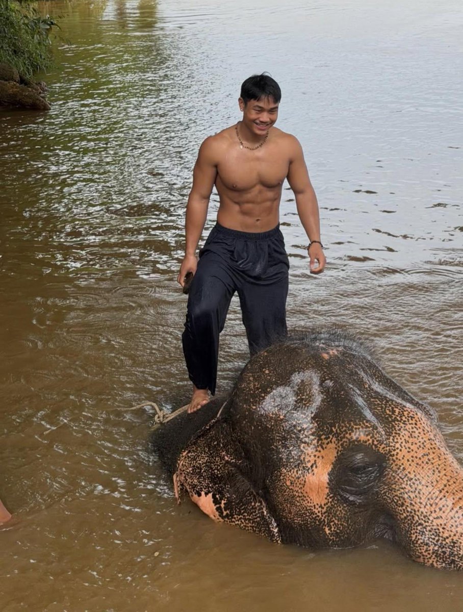 ITDUDE2011's tweet photo. Mandi bersama gajah 🐘 https://t.co/nTsmyttSdP
