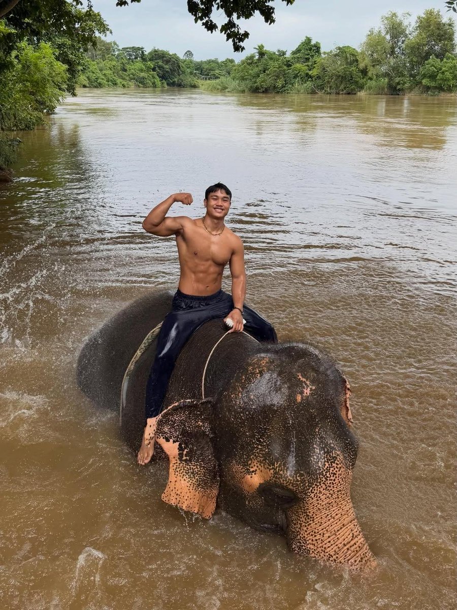 ITDUDE2011's tweet photo. Mandi bersama gajah 🐘 https://t.co/nTsmyttSdP