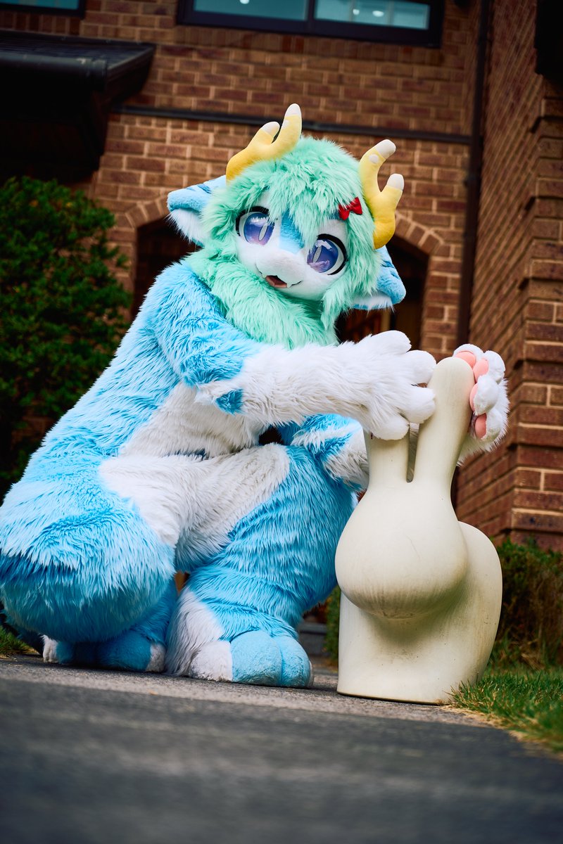Maaru_koko's tweet photo. 여기 토끼랑 친구 하기로 했어 ! 

📸 : @mano_4171 
#FursuitEverday #Fursuit #Maru https://t.co/OM8H5HHfjU