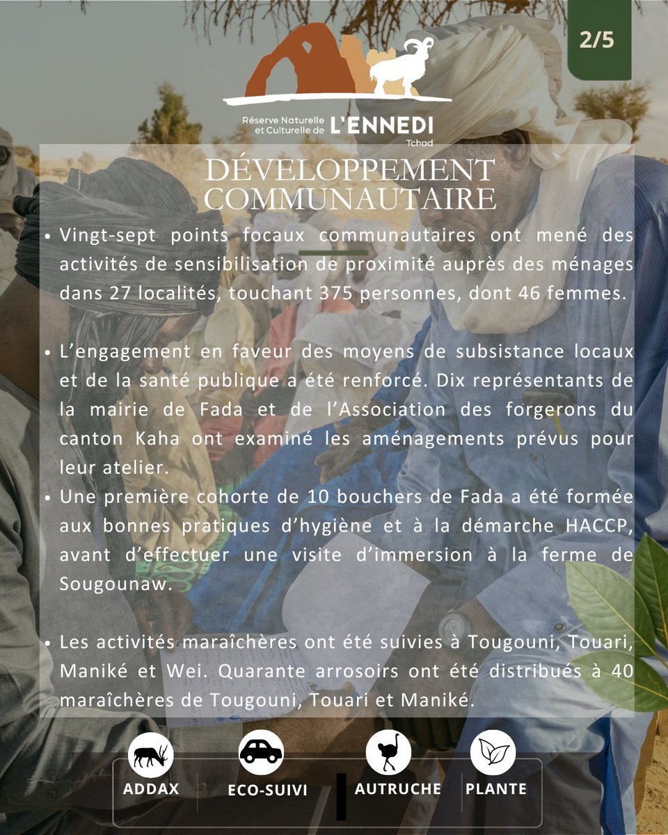 EnnediTchad's tweet photo. 📢 Échos de la RNCE – Newsletter d’août

Découvrez les principales actualités et avancées de la Réserve naturelle et culturelle de l’Ennedi : conservation, biodiversité, patrimoine et développement communautaire.

👉 Lire la newsletter en PDF : https://t.co/WRKB50e8Ty https://t.co/Yd7ZHVqRzK