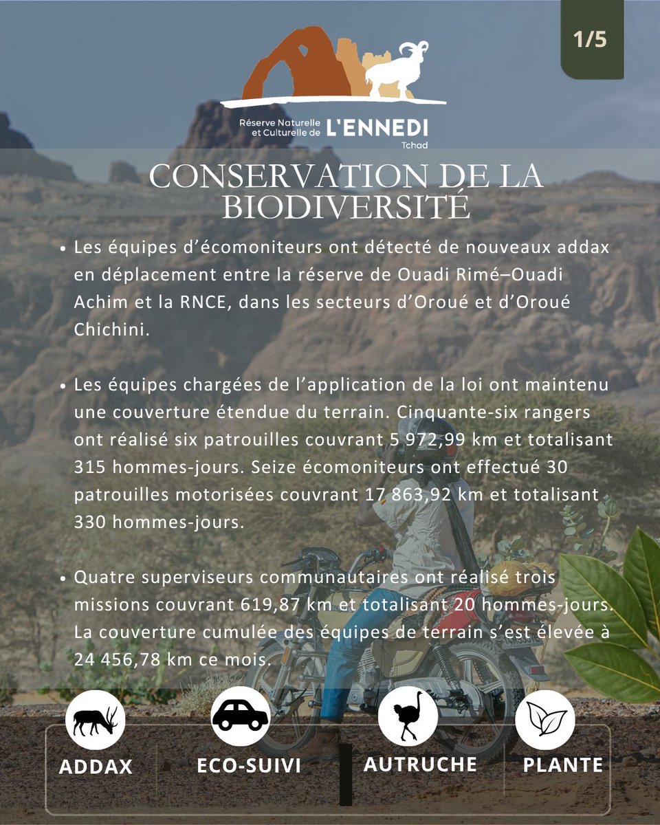 EnnediTchad's tweet photo. 📢 Échos de la RNCE – Newsletter d’août

Découvrez les principales actualités et avancées de la Réserve naturelle et culturelle de l’Ennedi : conservation, biodiversité, patrimoine et développement communautaire.

👉 Lire la newsletter en PDF : https://t.co/WRKB50e8Ty https://t.co/Yd7ZHVqRzK