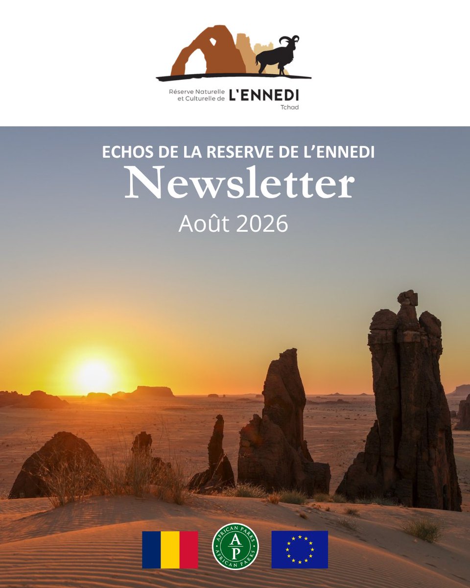 EnnediTchad's tweet photo. 📢 Échos de la RNCE – Newsletter d’août

Découvrez les principales actualités et avancées de la Réserve naturelle et culturelle de l’Ennedi : conservation, biodiversité, patrimoine et développement communautaire.

👉 Lire la newsletter en PDF : https://t.co/WRKB50e8Ty https://t.co/Yd7ZHVqRzK