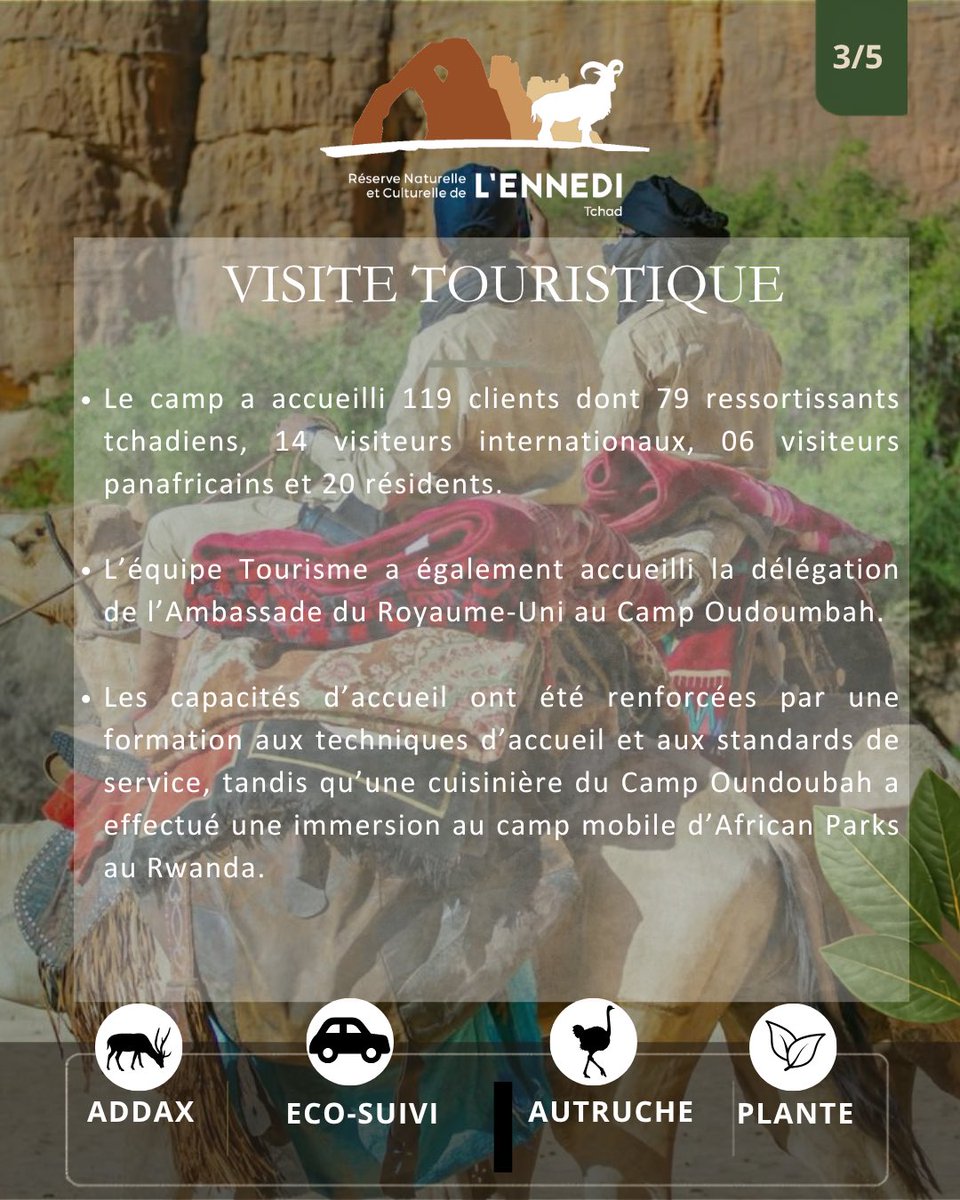 EnnediTchad's tweet photo. 📢 Échos de la RNCE – Newsletter d’août

Découvrez les principales actualités et avancées de la Réserve naturelle et culturelle de l’Ennedi : conservation, biodiversité, patrimoine et développement communautaire.

👉 Lire la newsletter en PDF : https://t.co/WRKB50e8Ty https://t.co/Yd7ZHVqRzK