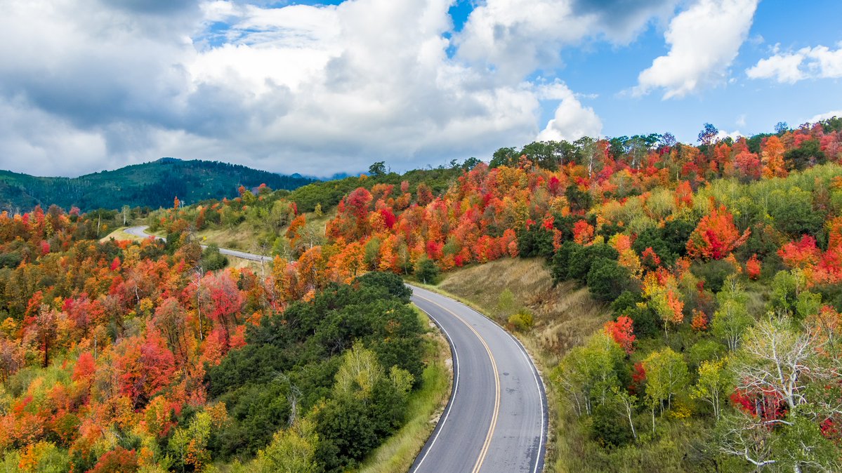KUTV2News's tweet photo. Fall colors are coming in fast in the Wasatch mountains!🍁

📍Cascade Springs Scenic Drive
📷Chris Williams via https://t.co/cvSNrkp01q https://t.co/8hcfWkXzDs