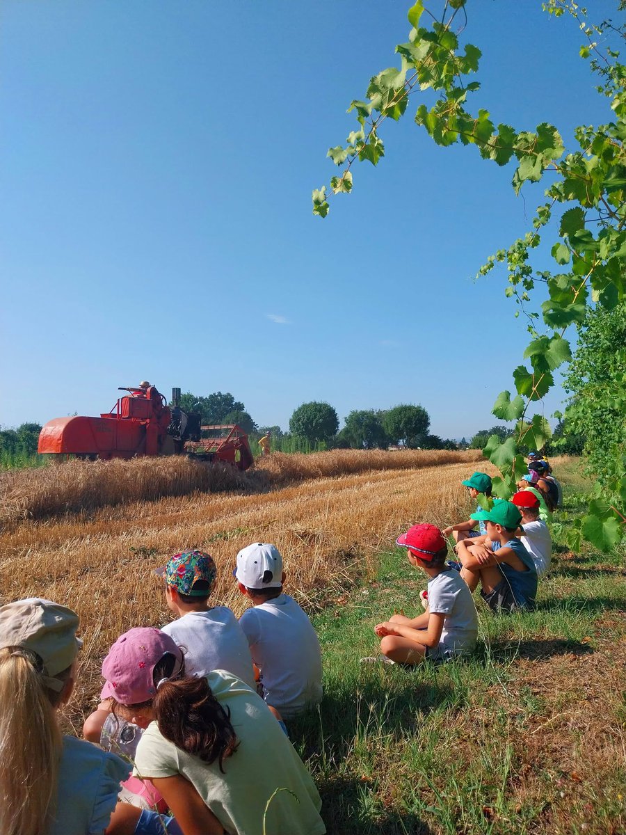 BolognaWelcome's tweet photo. 💚Domenica 20 settembre 2026 Villa Smeraldi - Museo della Civiltà Contadina Bentivoglio ospita la Festa della canapa. ℹ Scoprite tutto qui: https://t.co/tJBb7kiOAh @turismoER https://t.co/XKpGkuE2Uu