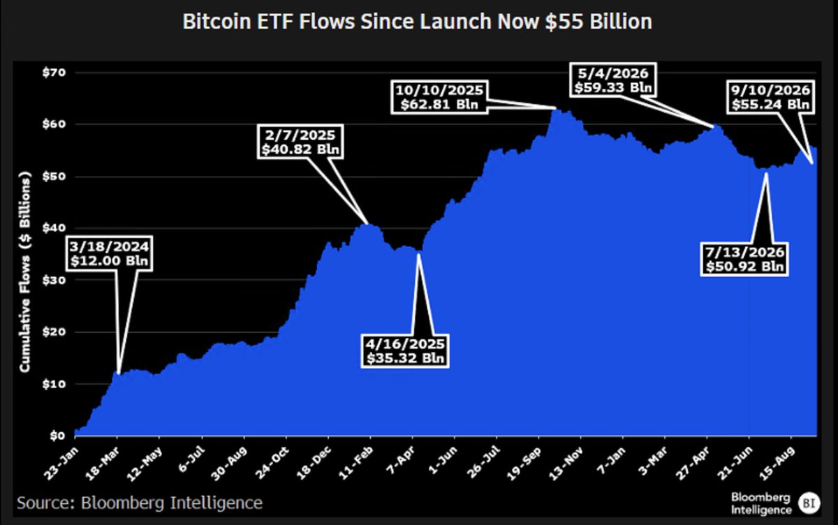 EricBalchunas's tweet photo. Nice look at the most important chart for bitcoin ETFs which is cumulative net flows lifetime which are curr at $55b, down from peak of $63b but up from low of $50b. Again, incredible intestinal fortitude from the Boomers given they saw a 50% drawdown. Stocks being up during that time prob helped but still.. via @JSeyff  
*the reason this is most imp chart is bc it is excludes price appreciation so it's pure measure of investor interest vs assets which bake in price