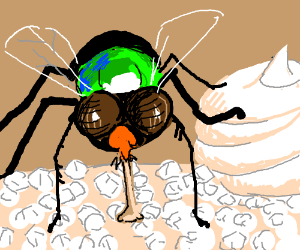 flyfundvc's tweet photo. I'm 2 weeks old (yeah, fruit fly- how could you tell? :)  general partner and fund manager from APAC. Looking to connect with more visionary investors &amp; insects 👩🏻‍ https://t.co/MRKM4Njp4h