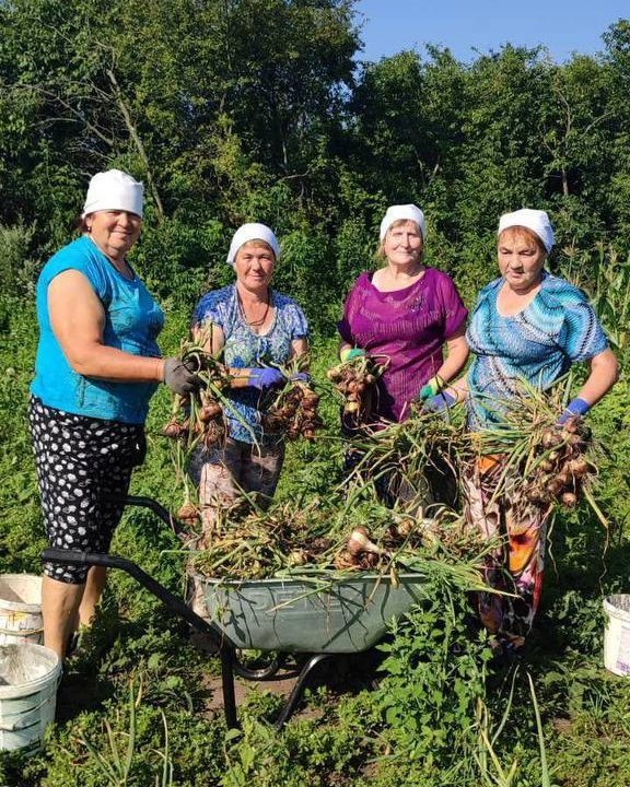 WCKitchen's tweet photo. For the second year in a row, WCK is partnering with the community of Tarasivka in Ukraine's northeastern Sumy region to cultivate a half-hectare community field—growing potatoes, beets, carrots, onions, and cabbage. WCK provides the seeds, seedlings, fertilizer, and crop protection supplies. Come autumn, the harvest goes directly to approximately 230 families living in the community as vegetable kits.
This is what empowering communities to care for themselves looks like: local hands growing food that travels from the field to the families who need it most. #ChefsForUkraine