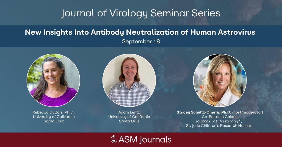 ASMicrobiology's tweet photo. Join the next JVI Seminar Series on Sept. 18 to learn how neutralizing antibodies target human astroviruses and block infection with Rebecca DuBois, Ph.D., and Adam Lentz. 

📅 RSVP now or watch later: https://t.co/5TwifnCkN1 https://t.co/EeVuMSSHdz