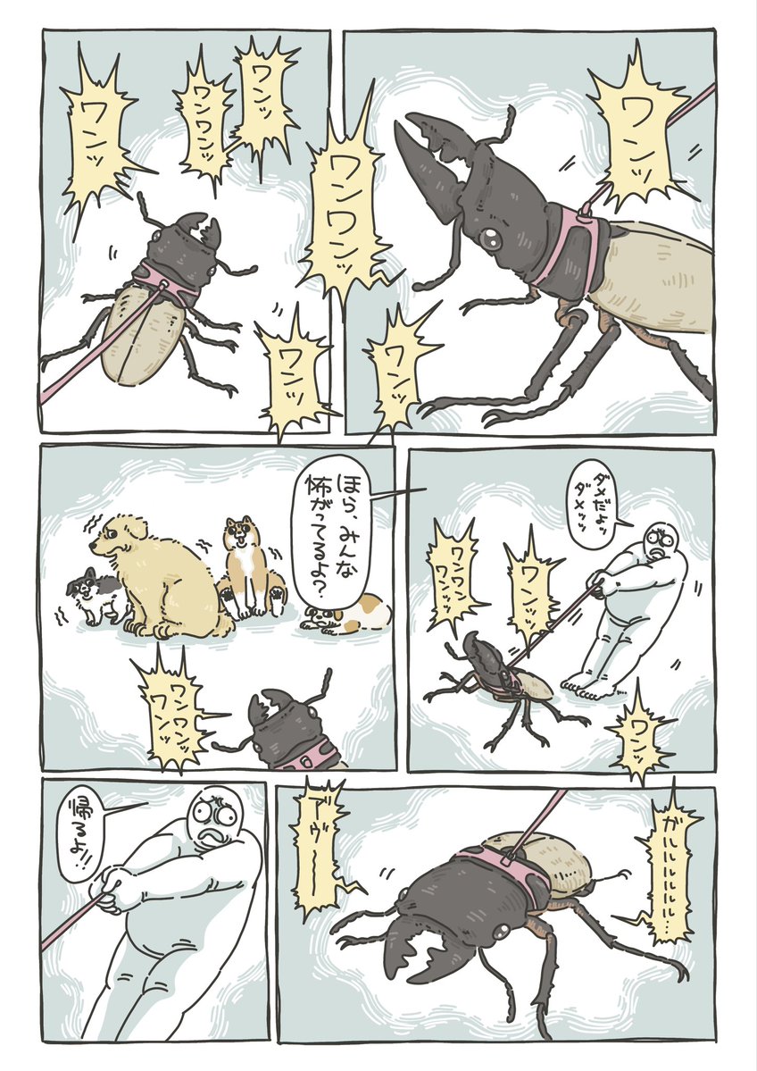 zoo69712356's tweet photo. 💥🐕💥 https://t.co/hcvSSyb7UA