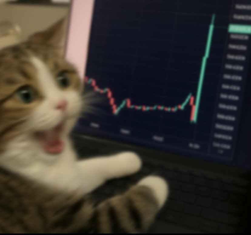 _maximcrypto's tweet photo. As soon as i click sell 😭 https://t.co/DyGvryKan3